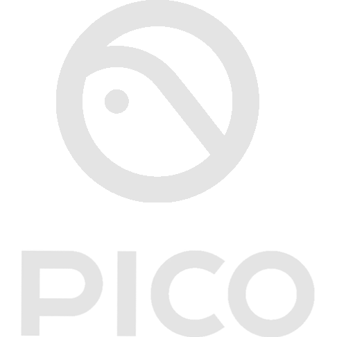 PICO Store